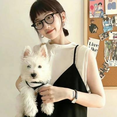 如我们所见