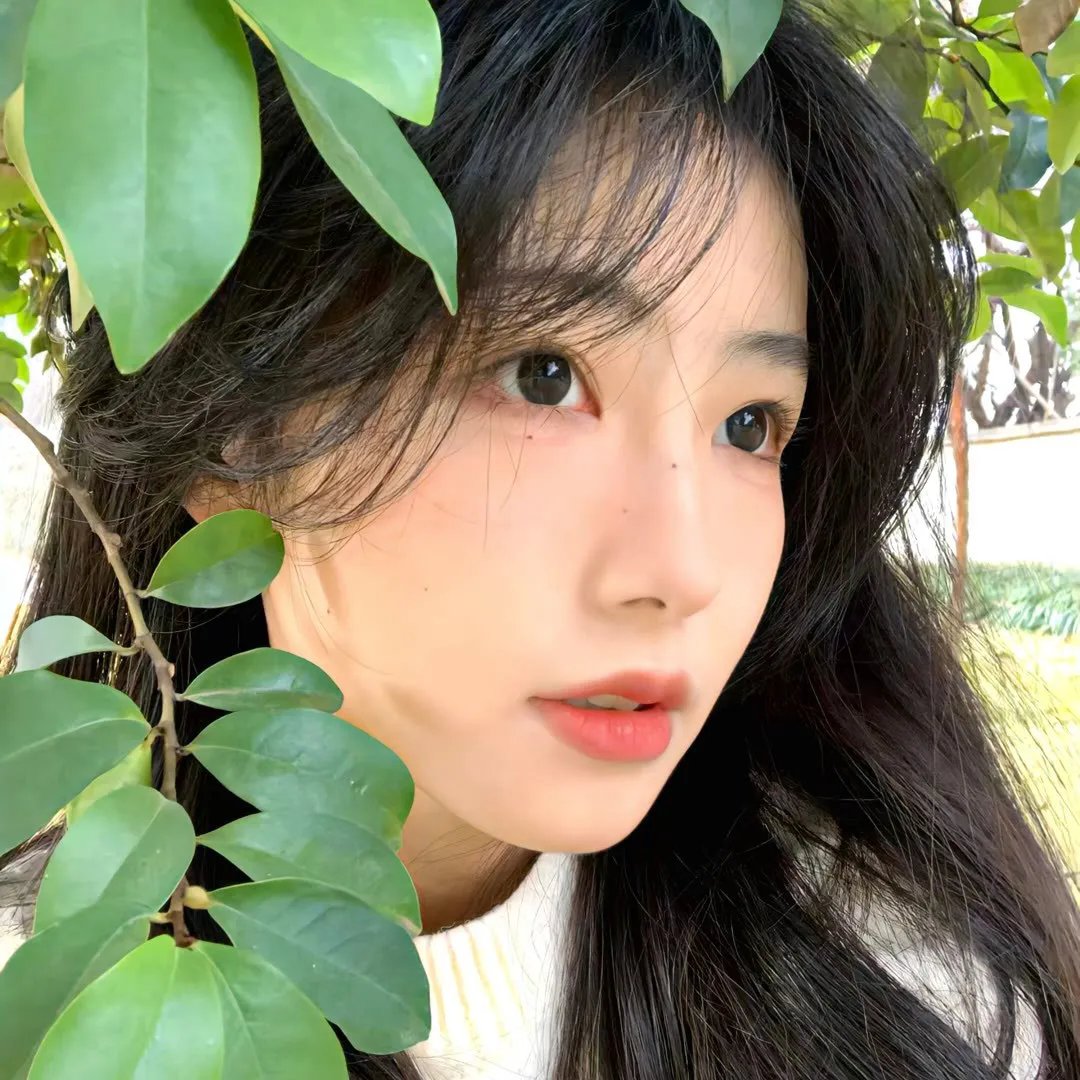 我的徒步之旅